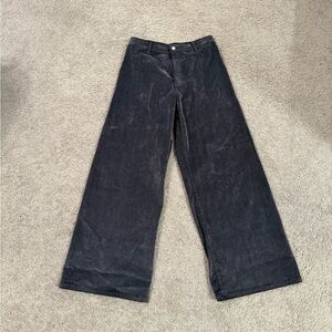 Velvet Suede Wide Legged Pants (Target)